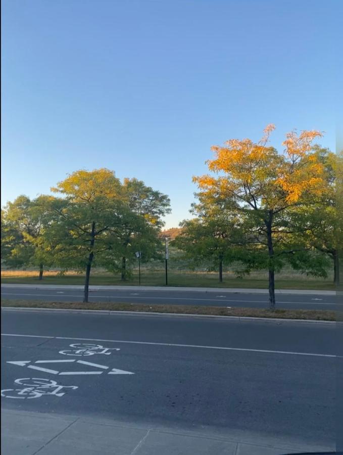 Heaven Is A Place On Earth Montreal Ngoại thất bức ảnh